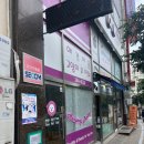 남뽕애견샵 이미지