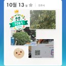 씨제이올리브영(주)용산리첸시아점 | さよなら