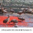 한종농장 이미지