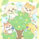 자라다plant