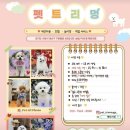 펫트리멍 이미지