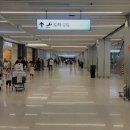 다운 주차대행