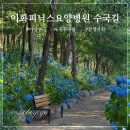 아산 배방 수국 명소 이화피닉스요양병원 방문 후기
