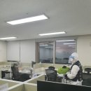 창조방역