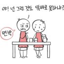 합기도 심무도관 이미지