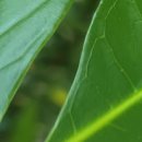 당신내과의원 이미지