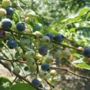 유림슈퍼 이미지