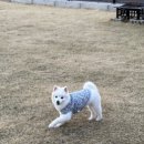 스테이포레스트 이미지