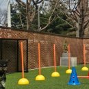 멍토피아 이미지