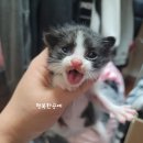 묘연공방 이미지