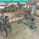 익산대로 이미지