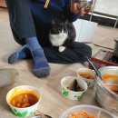 세종통운주 이미지