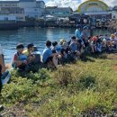 조천초등학교 이미지