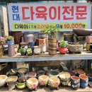 현대꽃화원