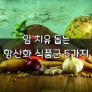 9월13일 뉴스브리핑 이미지