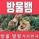 방울뱀이 이런뜻이구나 이미지