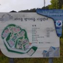 영덕펜션 바다숲향기마을 가족, 단체, 독채펜션 찾는다면!