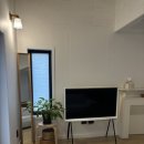 마이리틀아일랜드 이미지