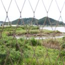 운양생태공원 이미지