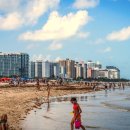 마이애미 이미지