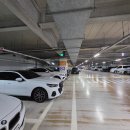 멀리가는 향기 | [가락시장 향기수산] 가락시장 횟집 추천 해산물모듬 산낙지 시세, 포장 후기