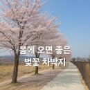 임진농협 하나로마트 | 벚꽃 스텔스차박 차크닉 연천 임진강 임진교 무료 노지