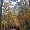 백암터미날_R | 경북 주왕산 국립공원 단풍구경 등산(대전사~용추폭포~용연복포~절구폭포~주산지저수지) / 청송여행...