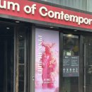 친환경 식물 미술관 | 서울전시회 k현대미술관 핑크버블 환경오염 체험형 전시