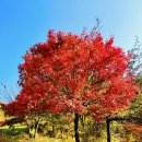 우림농장1 이미지