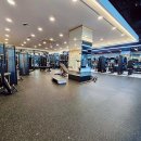 아인스 휘트니스 이미지