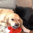 데일리 그루밍 이미지