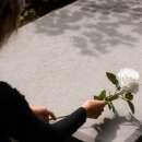 세진환경 이미지