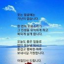 8월18일 고발뉴스 이미지