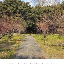 걸매축구장-2 이미지