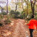 서울 단풍 애견동반공원 : 양천 신정산 생태길 계남근린공원