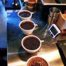 커피 핸드드립 자격증 야간반 이미지