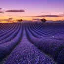 프로방스 이미지