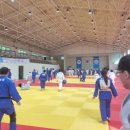 정부경유도관 이미지