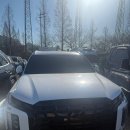 더패밀리 주식회사 | 펠리세이드 중고차 매입 후기 대형 패밀리 SUV, 이렇게 정리했습니다