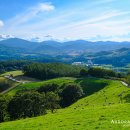 풀내음목장 이미지