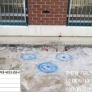 내진파일 이미지