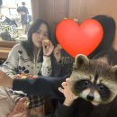 세이프투유