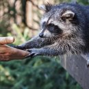 리베라세탁 이미지