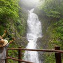 스테이무해(無害) 이미지