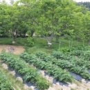 백련과학유치원 이미지