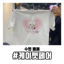 강사모백화점 | 2024 수원 메쎄 케이펫페어 주차정보 및 강아지 옷 반려견 커스텀 티셔츠 정보