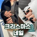 핑거수트 겨울 크리스마스 네일 디자인 코핀네일 팁 추천!