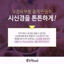 노안한의원 이미지