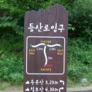 (주)양지약품 이미지