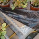 추계농장 이미지